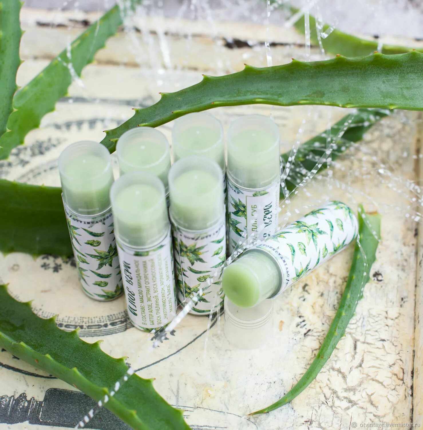 Бальзам для губ алоэ. Balsamo labial Aloe Vera. Neover Aloe Vera Lipbalm. Бальзам для губ images алоэ.