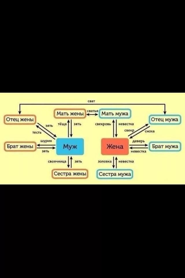 Родственные связи. Родственнвенные связи. Родство кто кому кем приходится. Схема родственных связей. Жена брата родной сестре кто