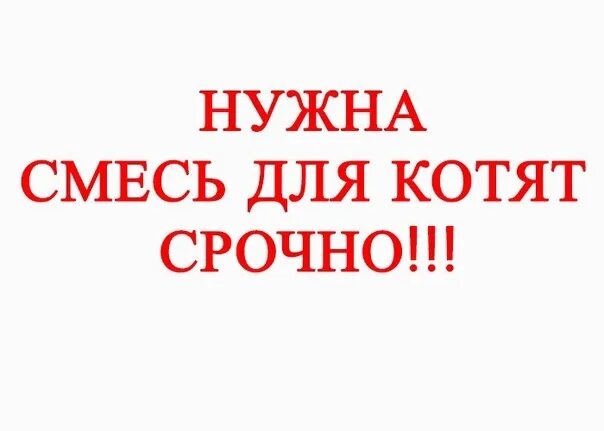 Нужен post. Срочн о нужна смесь для коття. Нужна смесь для котят. Срочно нужна помощь. Срочно кормящая кошка.