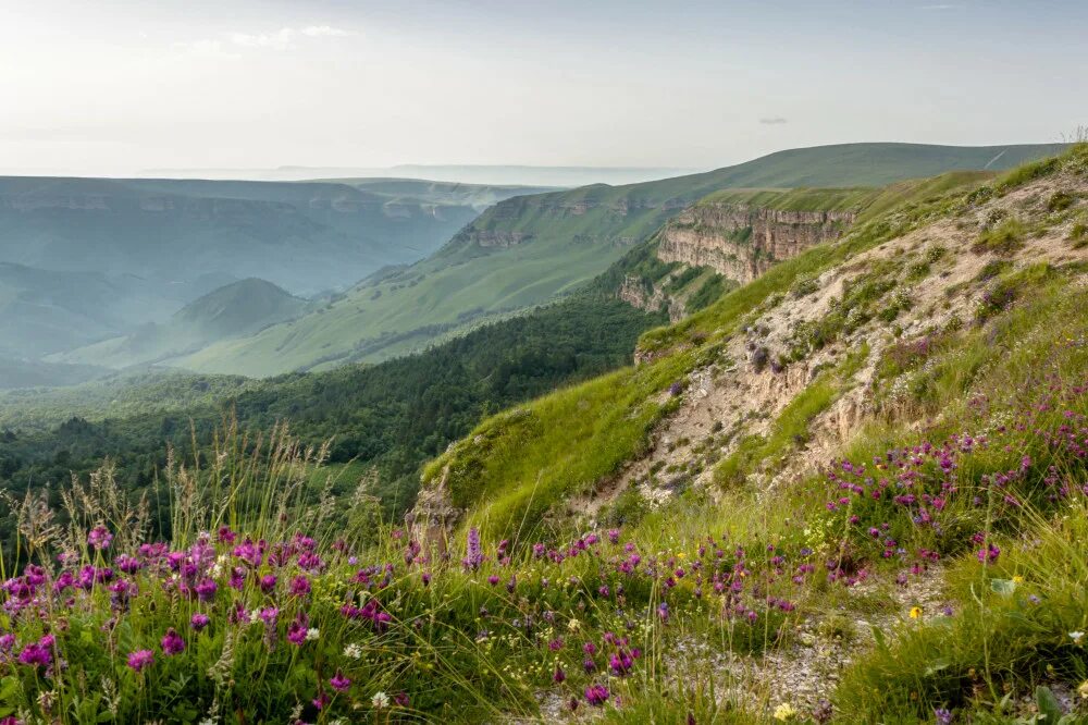 Скала арка кчр. Гуд гора. Степанцминда-кисловодск. Гуд гор. Гуд гор.
