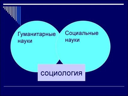 Социальные науки презентация