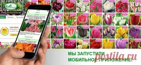 Мире увлечений садоводческий центр