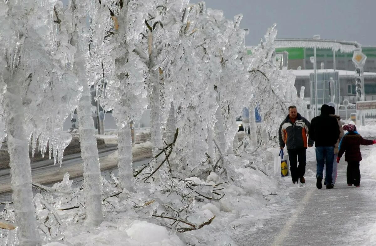 Зима в 2010 году какая была. Ледяной дождь 2010. ледяной дождь в москве. ледяной дождь в россии 2010 год. обледенение деревьев.