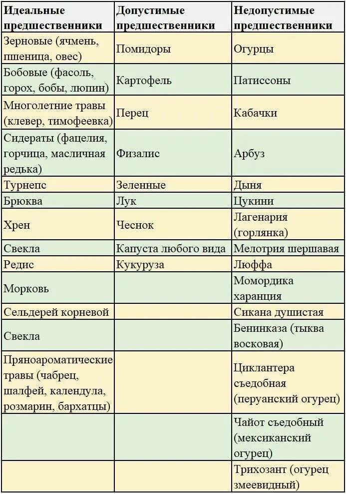 После каких овощей можно сажать. Что сажать после тыквы на следующий год. После чего сажать помидоры. Что после чего садить. Предшественники помидоров в открытом грунте.