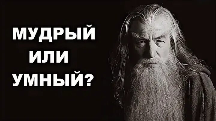Чем отличается мудрый человек от умного знающего. Чем отличается мудрый человек от умного знающего