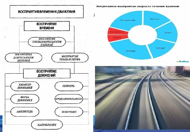 Восприятие времени движения пространства. Восприятие движения в психологии. восприятие пространства времени и движения. восприятие времени; восприятие пространства; восприятие движения. виды движений в психологии.
