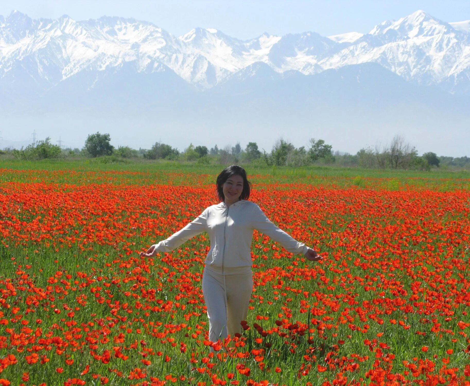 Киргизия в мае. Маки Кушка Туркмения. Тянь Шань Киргизия маки. Маковые поля Туркмении. Маковые поля Заилийский Алатау.