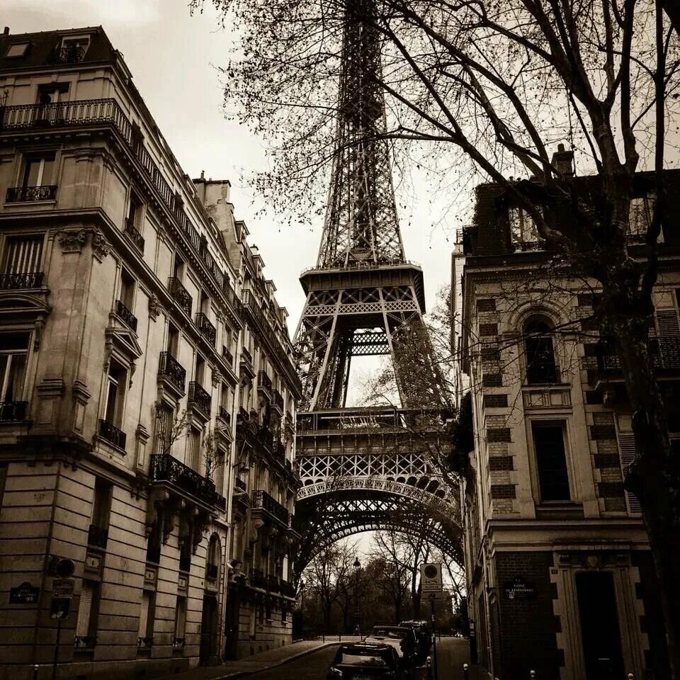 Тротуар черно белый. Монохромная фотосессия. Монохромная жизнь. Монохромные снимки. Монохром в фотографии.