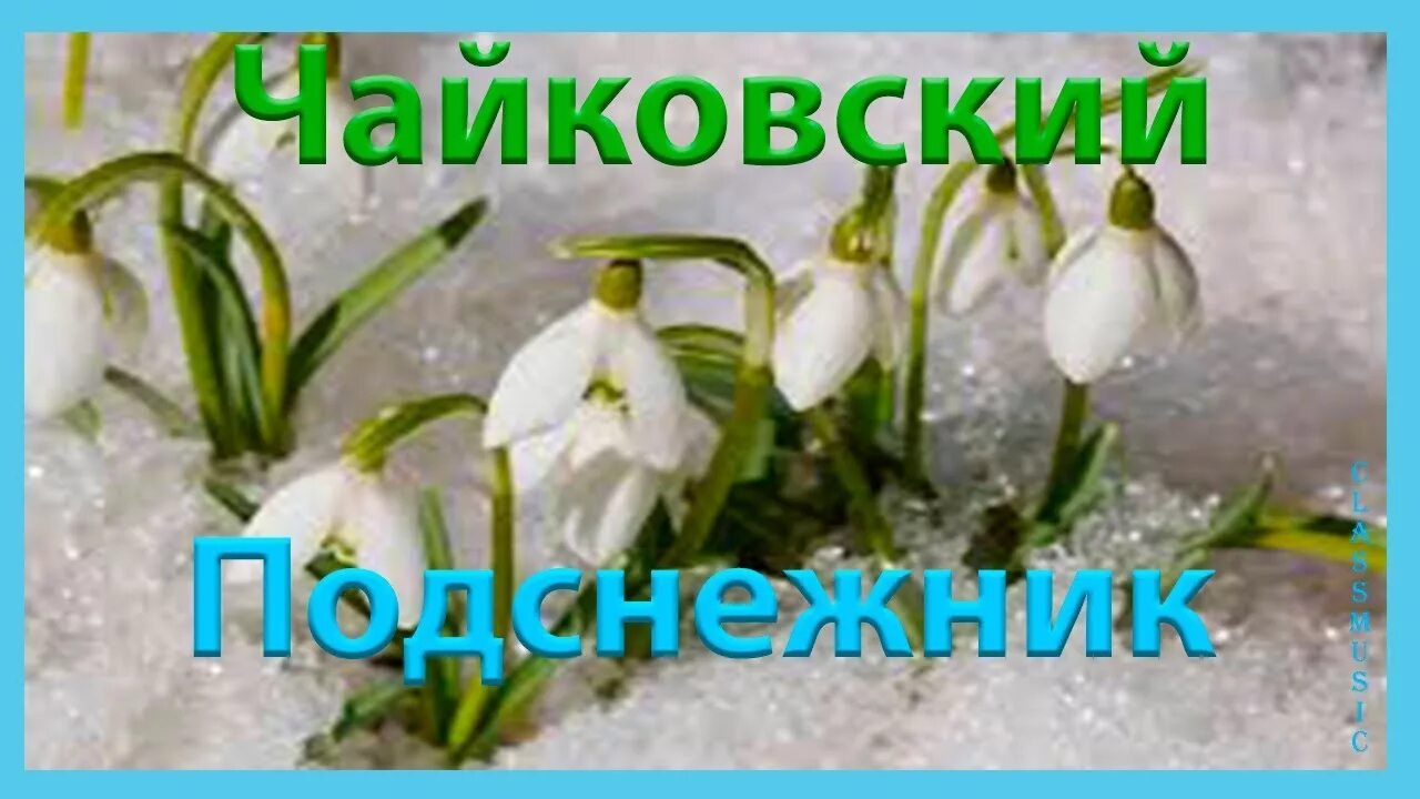 Апрель Подснежник Чайковский. П.И Чайковский апрель Подснежник. Чайковский времена года апрель Подснежник. Чайковский времена года подснежник слушать