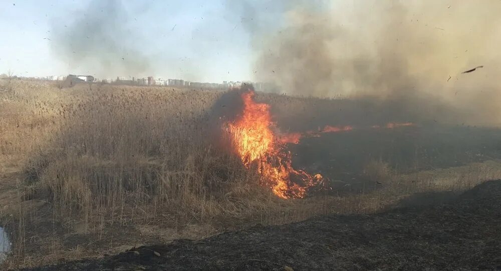 Пожар левый берег сейчас. Пожар в омске сегодня на левом берегу. Пожар левый берег сейчас. Пожар в пос солнечный. Пожар в здании.