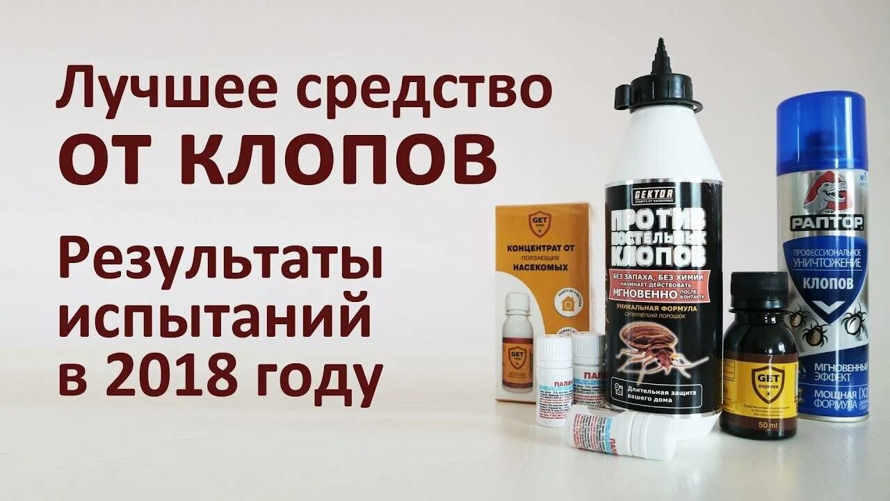Лучшее средство от клопов в квартире. Средства от клопов в квартире самое эффективное. самые лучшие средства от клопов. лучше средство от клопов. эффективное средство от клопов в квартире.