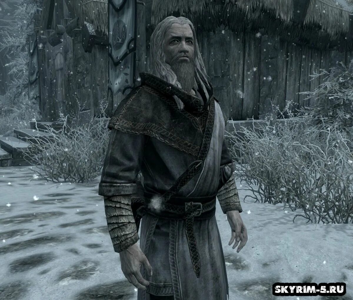 Слушать аудиокниги жизнь архимага. Архимаг Винтерхолда. Skyrim Толфдир. Архимаг коллегии Винтерхолда арт. Толфдир Винтерхолд.