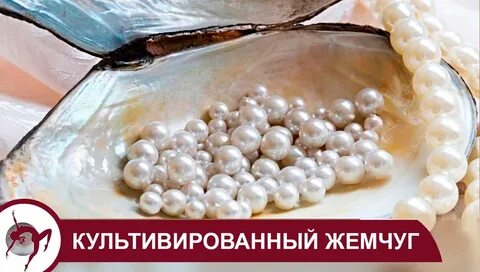 Какой жемчуг считается