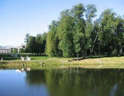 Санаторная ул вл1 село марфино