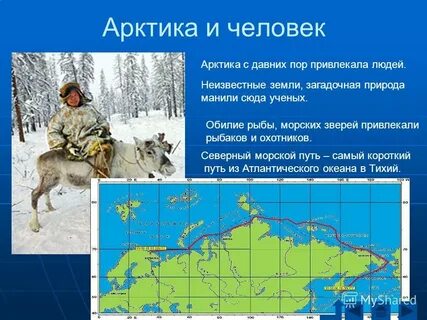 Значение арктики
