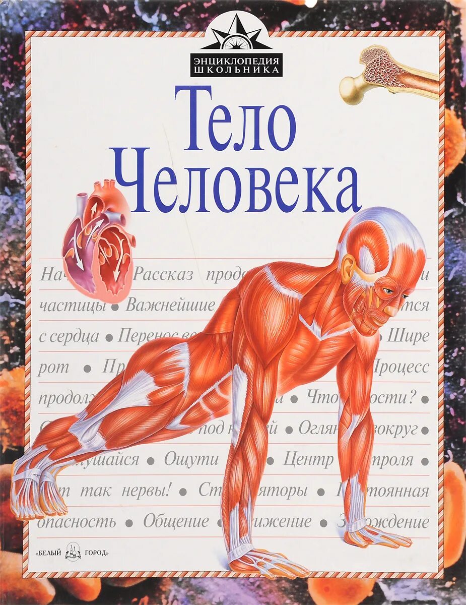 Тело человека книга. Человек. Энциклопедия. Книга человек энциклопедия. Книга человеческое тело. Книга энциклопедия человек