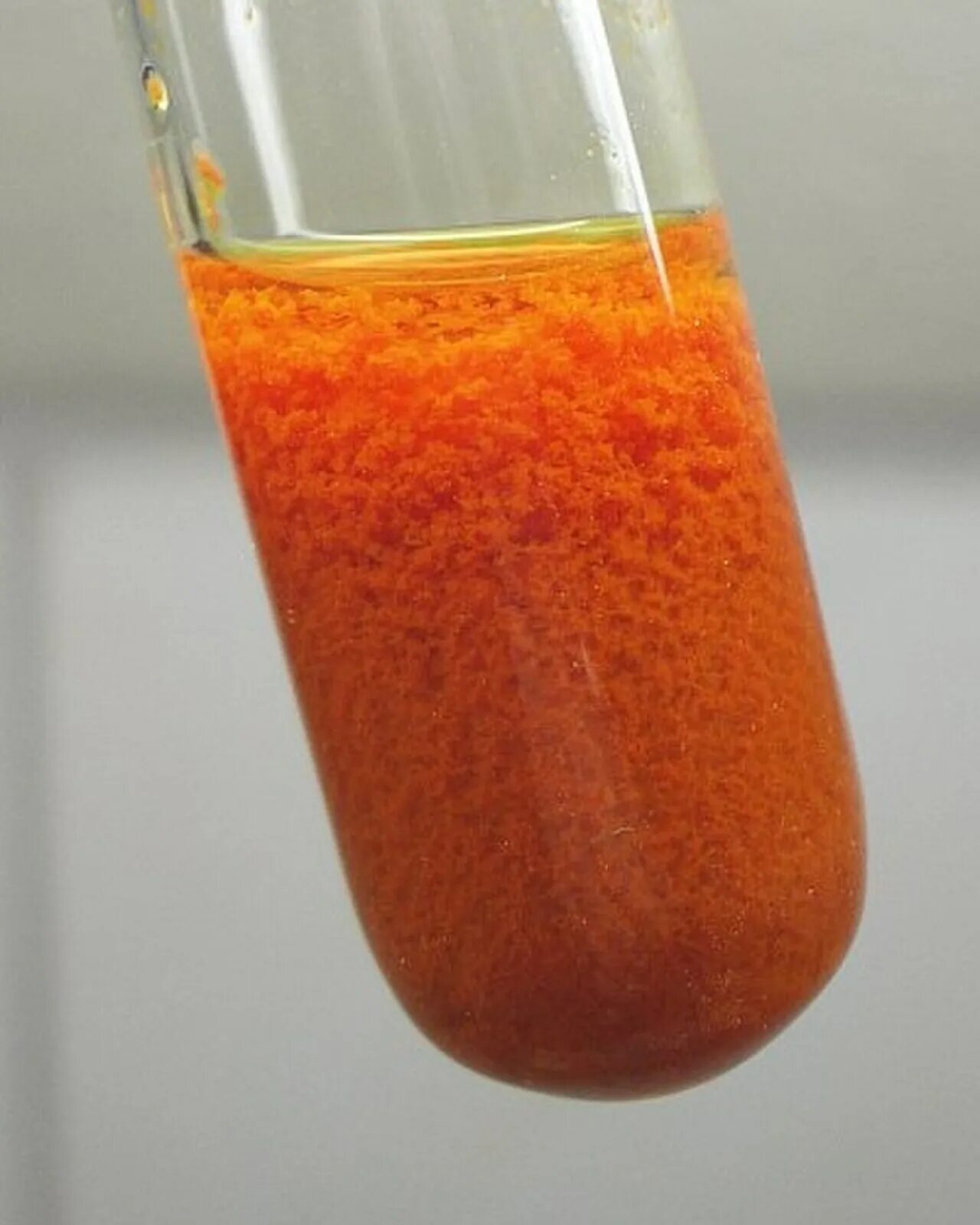 Оранжевый гидроксид меди. Гидроксид меди 1 цвет осадка. Осадок оксида меди 1. Cu2o раствор. Оксид ртути хлор
