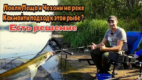 Алеша ушел на рыбалку в 16 часов