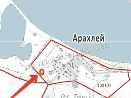 Чита арахлей расстояние