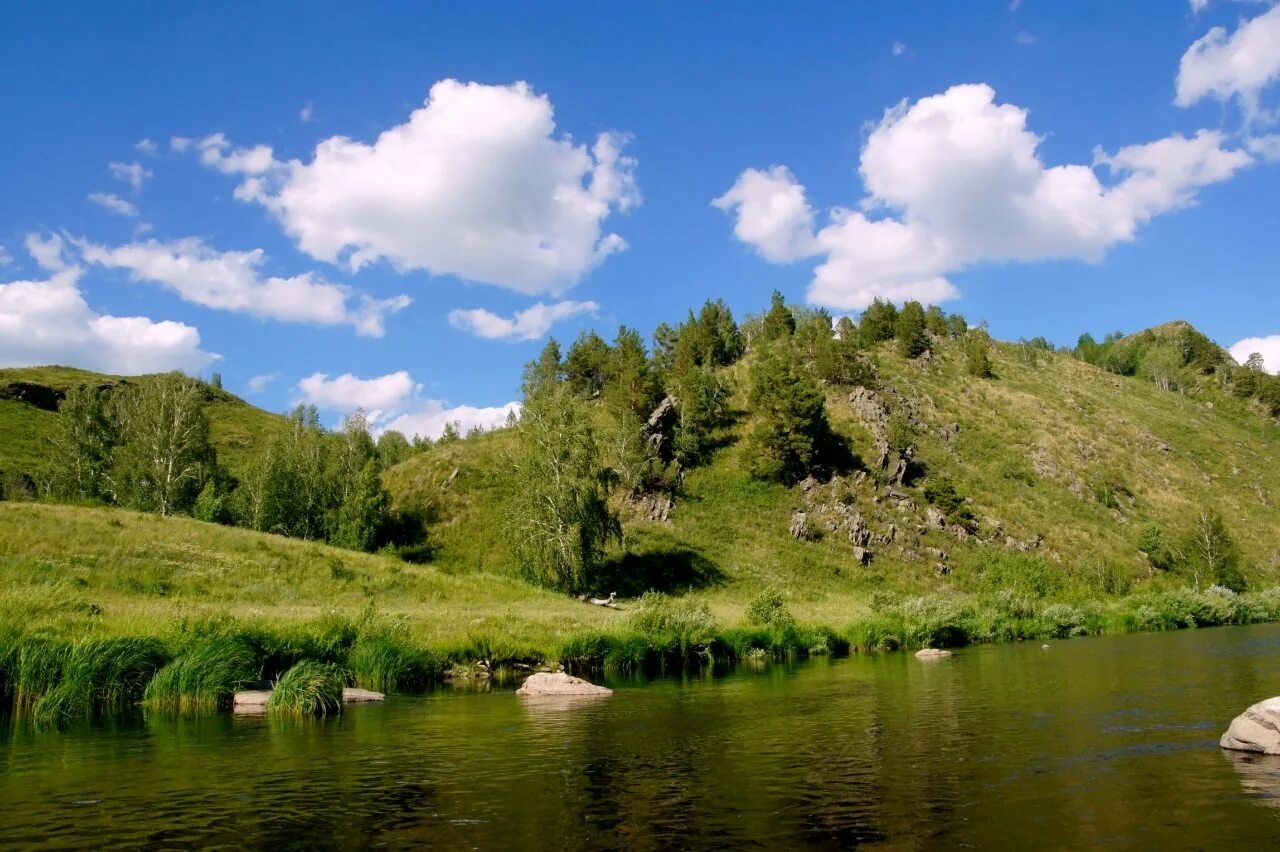 Реки оренбуржья. Река Сакмара Кувандык. Река Сакмара Оренбургская. Река Сакмара Башкирия. Река Сакмара Оренбург.