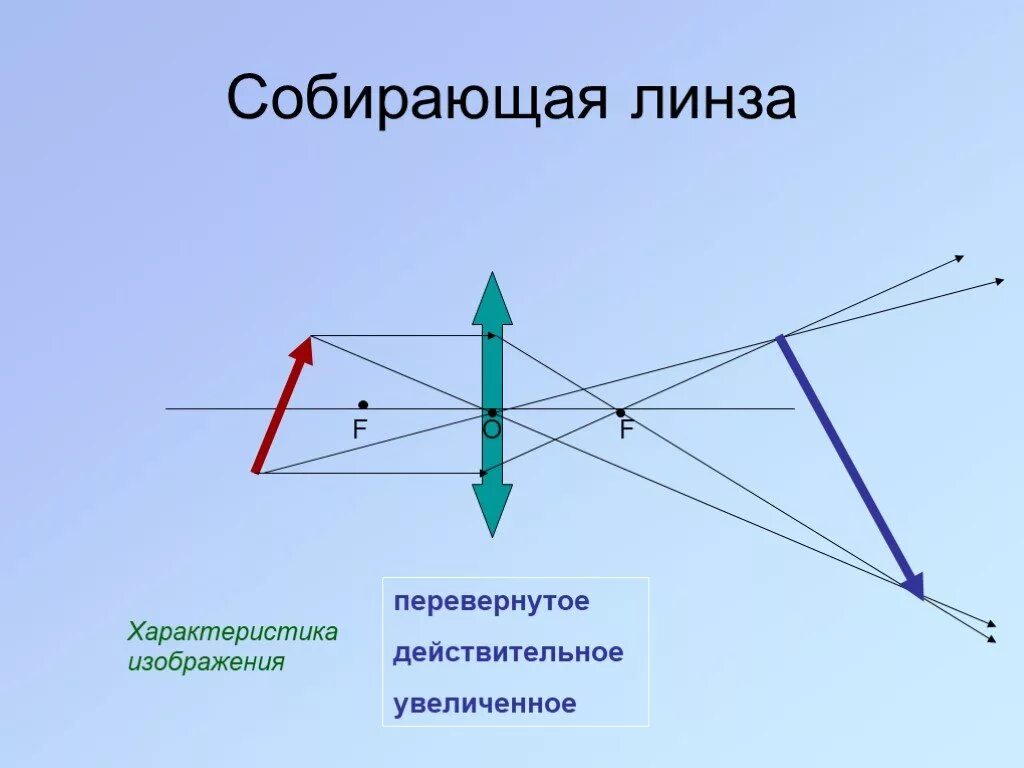 Линза переворачивает изображение. Построение изображения в собирательной линзе. собирающая линза. собирательная и рассеивающая линзы. изображение в собирающей линзе.
