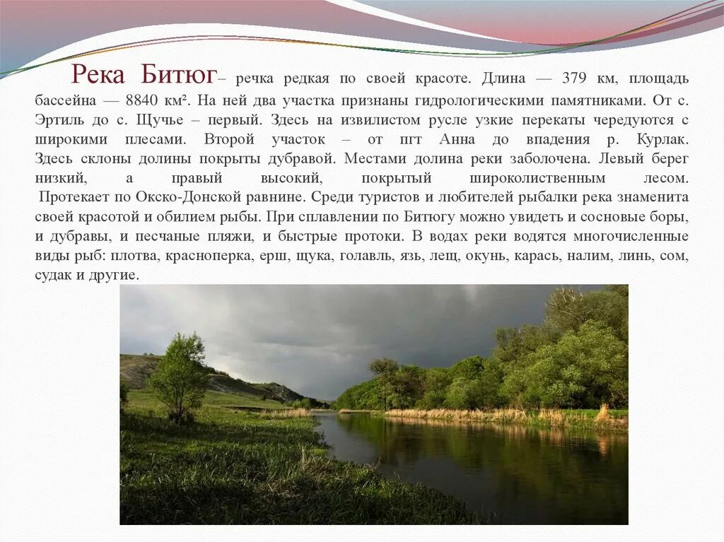 Исток реки Битюг Воронежской области. Река Битюг в Воронеже. Притоки реки Битюг Воронежской области. Презентация река Дон Воронежской области.