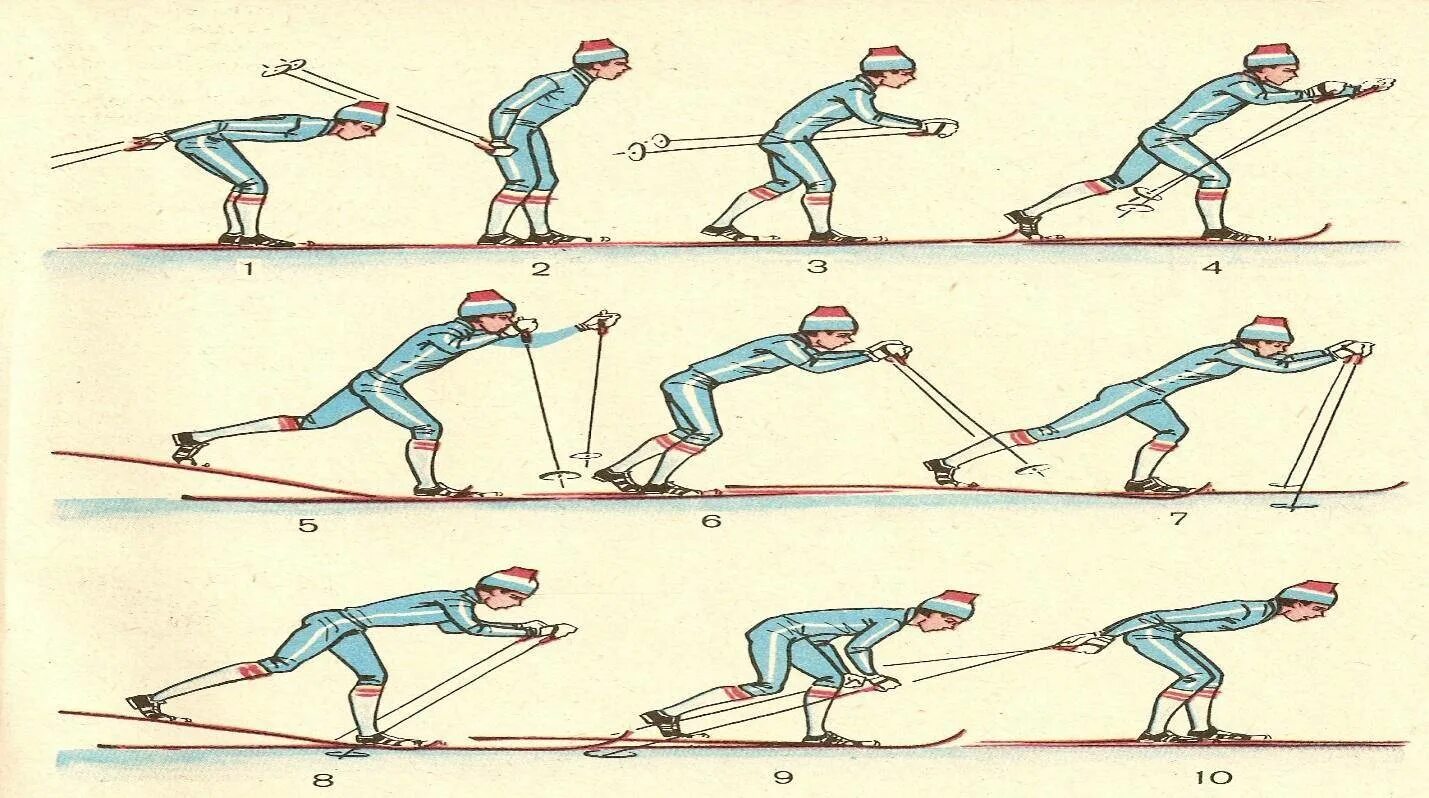 Шаг лыжника. Одновременный двухшажный коньковый ход. Лыжи для конькового хода и классического хода. Коньковый попеременный ход на лыжах. Классические лыжные ходы и коньковые лыжные ходы.
