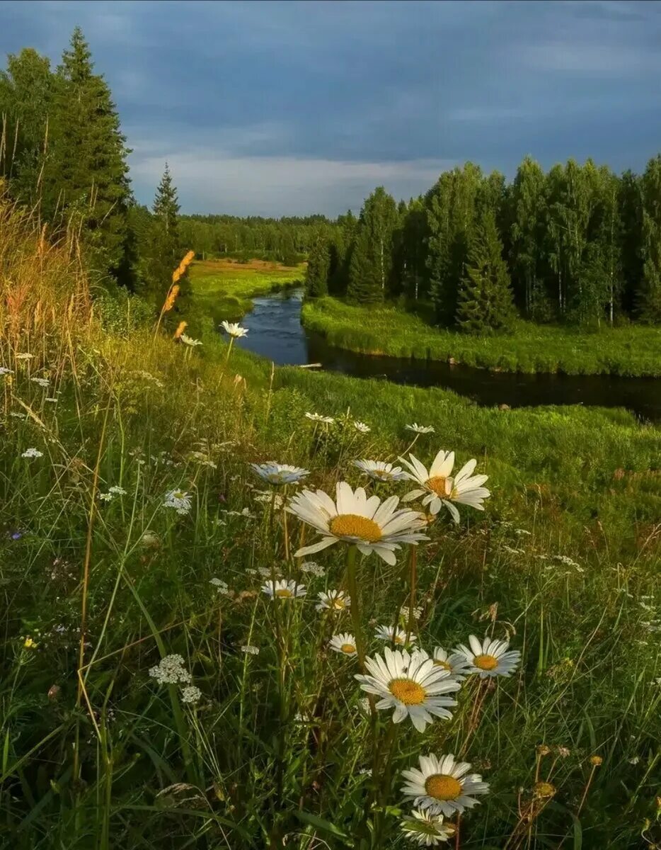 Большую часть лета. Русская природа. Летний пейзаж. Природа летом. Красота русской природы.