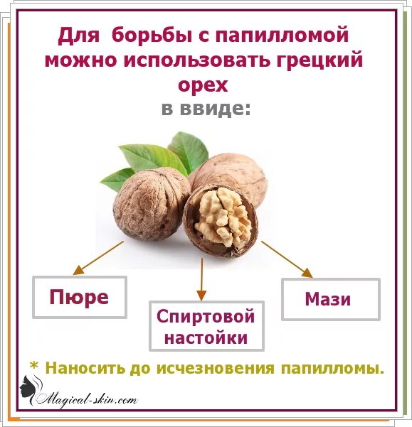 Какого размера грецкий орех. Строение ореха. строение грецкого ореха. строение орехаореха. структура грецкого ореха.