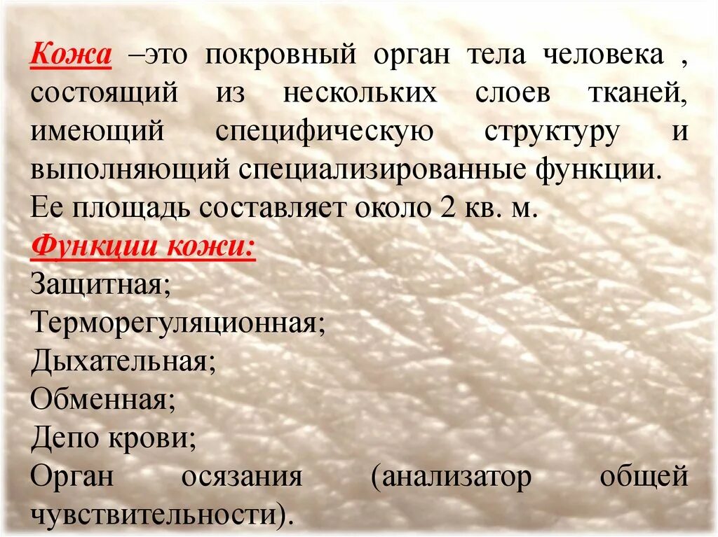 Кожа термины