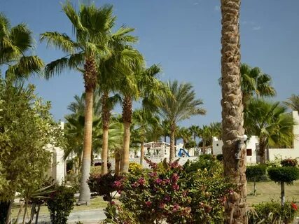 Coral beach hurghada 4 хургада