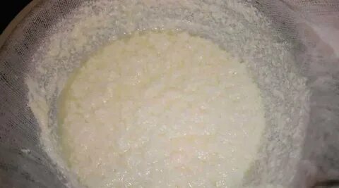 Сыр из молока с сывороткой