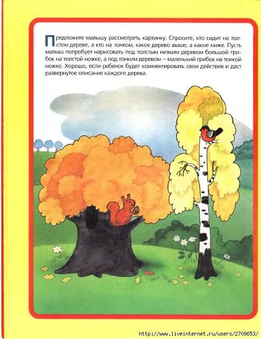 сравнение предметов по ширине. выше ниже для малышей. игра высокий низкий. толще тоньше задания для дошкольников. толще тоньше уже шире.