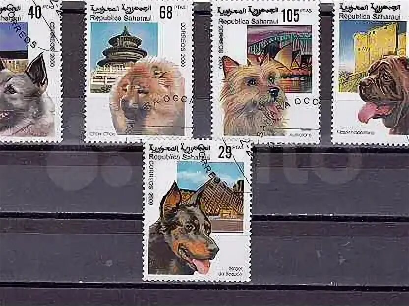 2000 dogs в рублях. Пазлы лошади 3000. 2000 dogs в рублях. Собака для ворда. Пазлы лошади 3000.