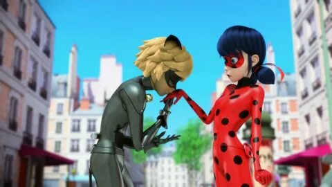 Miraculous ladybug crizalis