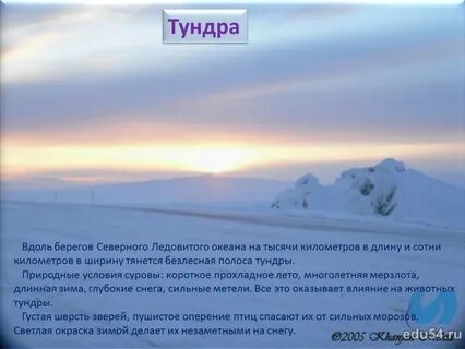 Сила тундры