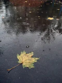 Ветер дующий из степей гнал по лужам