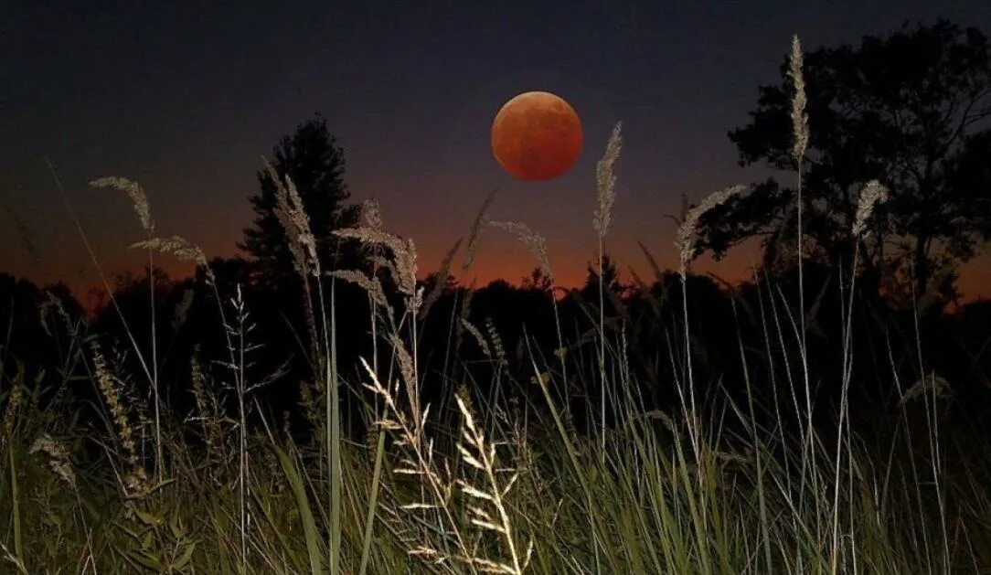 Солнце месяце встает. Летняя ночь. Луна над степью. Поле ночью. Луна вечером.