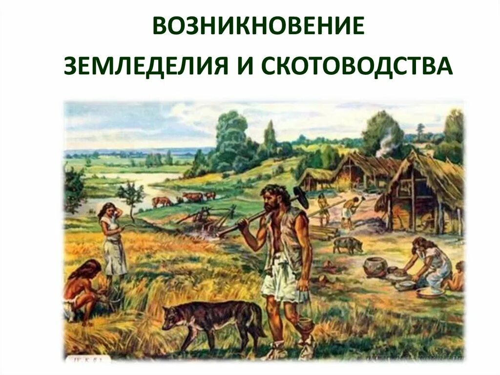 скотоводство производящее хозяйство. возникновение скотоводства. производящее хозяйство это в истории. производящее хозяйство. охота и собирательство.