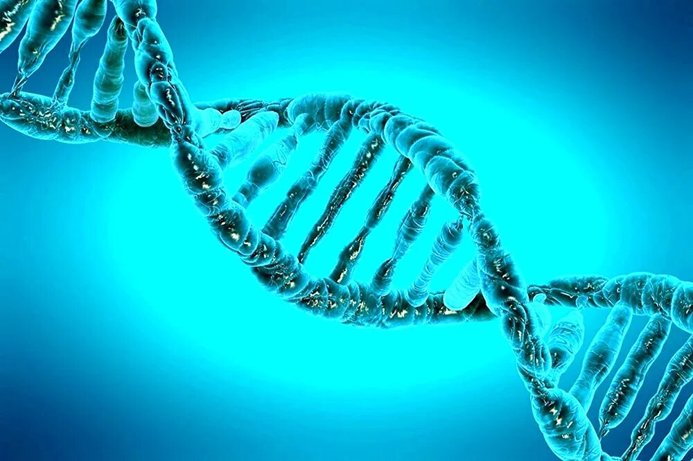 Медитативное состояние. Adn 432. Adn 432. Днк картинки. Молекула днк человека.