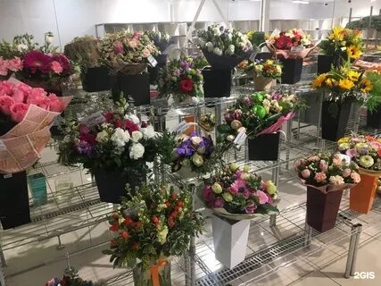 Цветомания цветы в каждый дом киров