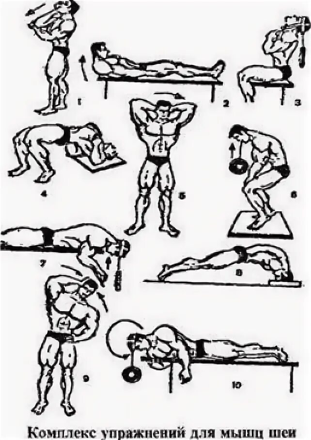 Схема прокачки шеи. Упражнения для тренировки шеи. Упражнения для накачки шеи. Тренировка мышц шеи. Тренировка шеи с блином.