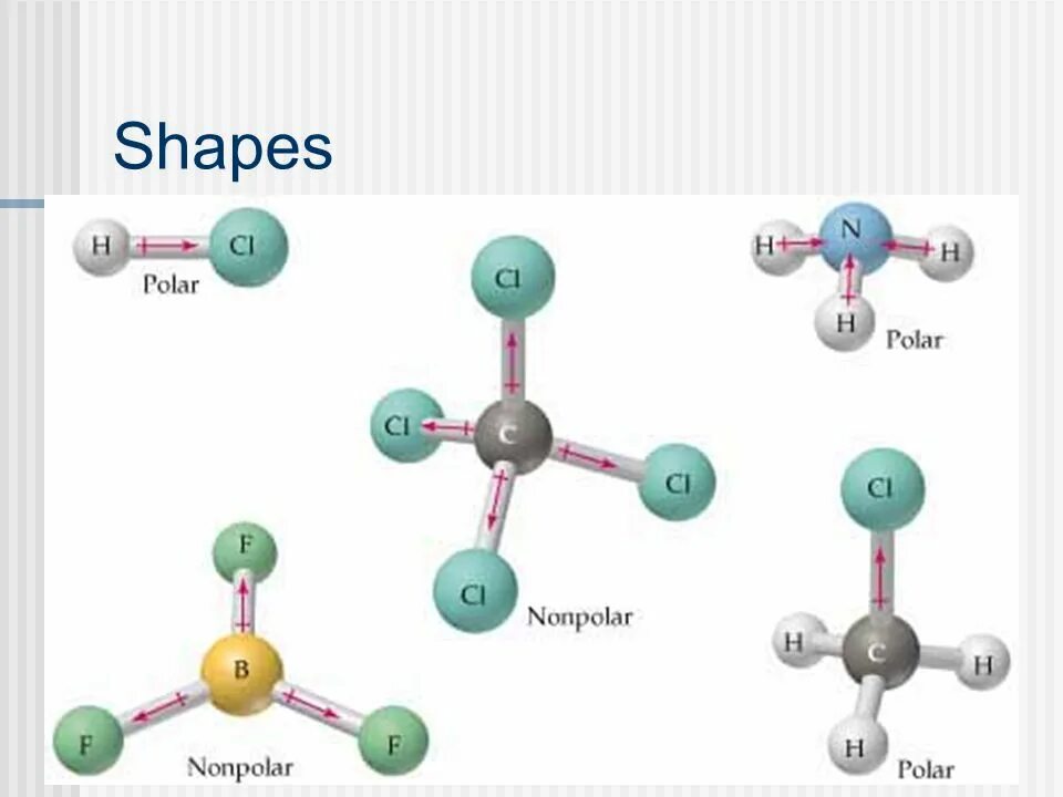 Килограмм молекула. Polar chemistry. диполь шампунь. молекула пинг. молекула антиэйджинг.