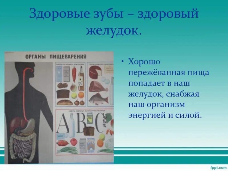 Чем сахар снабжает наш организм