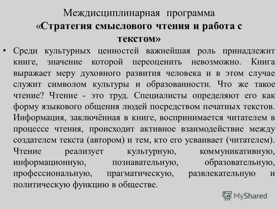 Программная стратегия. Программная стратегия