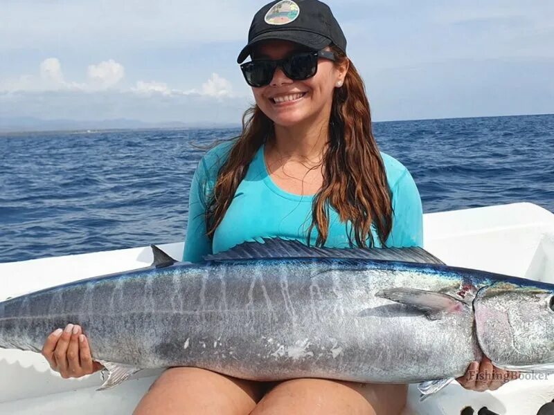 Черноморская скумбрия пеламида. Пеламида рыба черноморская. Пиламида рыба. Пеламида рыба черноморская. Черноморский тунец пеламида.