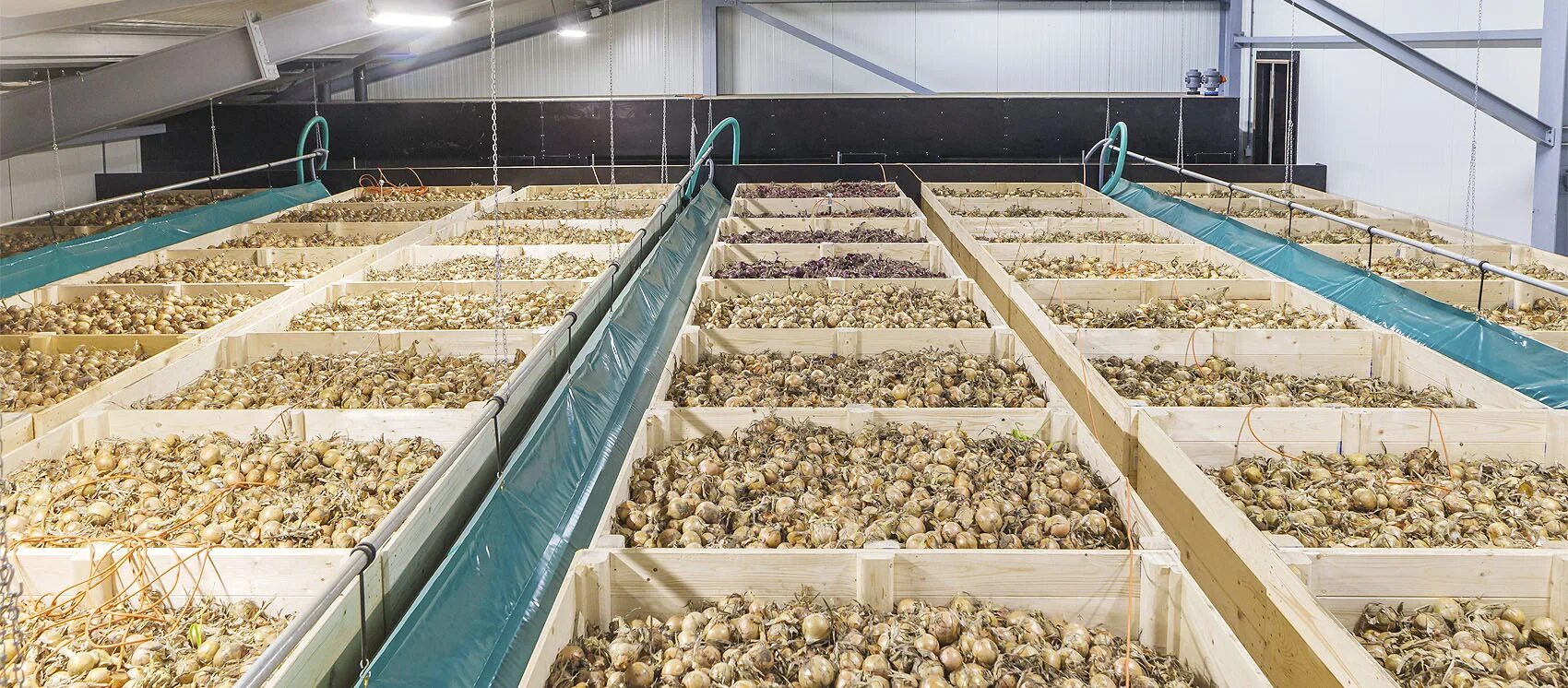 Овощехранилище картофелехранилище. Картофелехранилище на 100 тонн. Овощехранилище ФСИН.