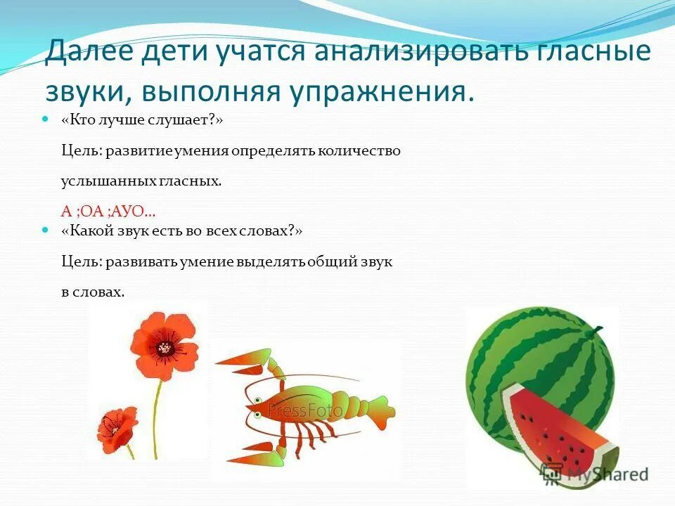 Акустические колонки и наушники. Назначение устройства звукового вывода. Строение строение слухового анализатора. Схема голосового аппарата человека. Какую функцию выполняет звуки.
