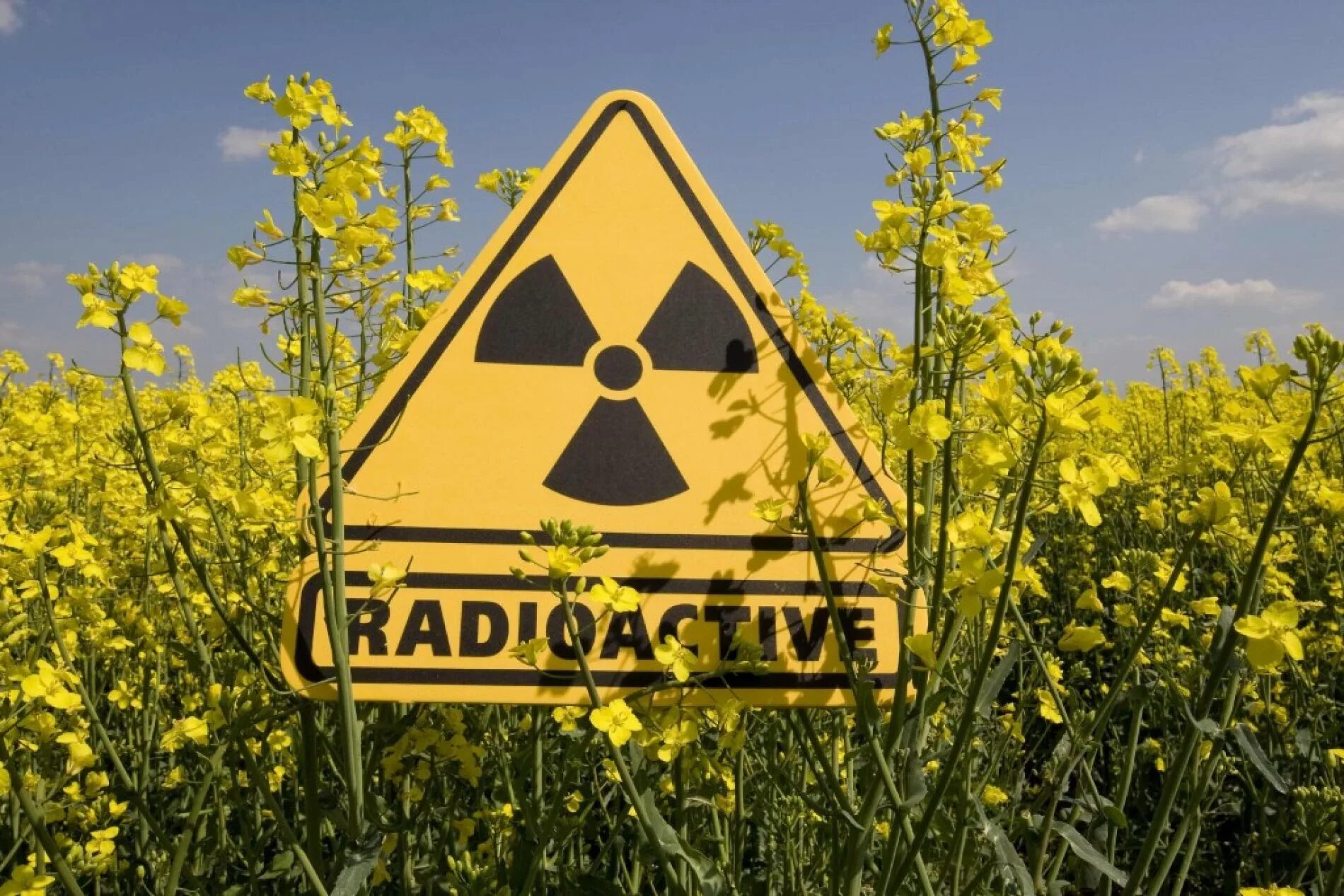 Радиация. Радиоактивное загрязнение. Радиационное загрязнение. Табличка радиация.