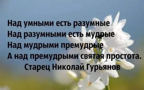 Умным будь мудрей